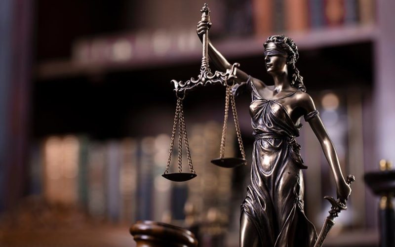 Expert Witness Litigation Support